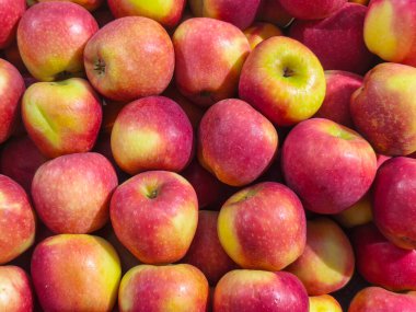 Taze kırmızı elmalar bir araya toplanmış, canlı renkler ve doğal dokuları gösteriyor, sağlıklı gıda, pazar ve tarım kavramları için mükemmel..