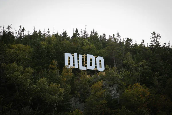 Dildo, a small fishing village in Newfoundland, Town sign on hillside. — Stock Photo, Image
