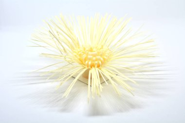 Beyaz arka planda Hediye Dekorasyon için Bahar Kurdele