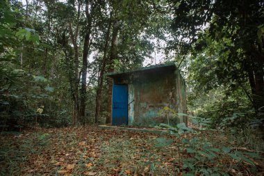 Ormanda küçük eski bir bina ya da kulübe var.