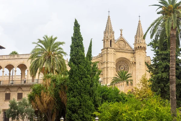 Katedra Santa Maria Palma lub La Seu Katedra w Palma de Mallorca — Zdjęcie stockowe