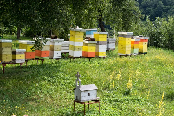 Morača Manastırı arı kovanı üzerinde görüntülemek ve Bahçe