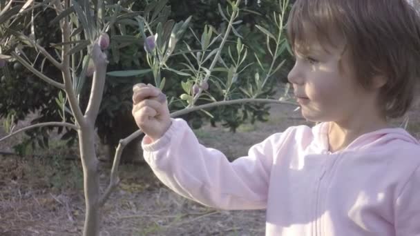 Pequeno bebê em rosa claro pegar o fruto da oliveira — Vídeo de Stock