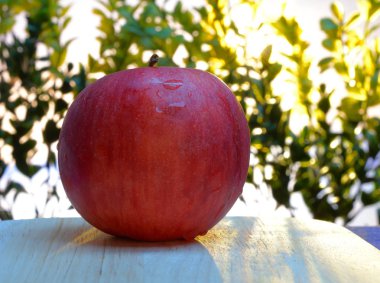 gün batımında ağaçlar arka plan üzerinde mavi bir masada ahşap bir gemide bir elma