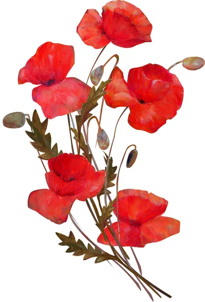 Bukiet kwiatów maku na białym tle Obraz Stockowy