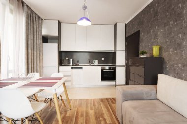 Modern aydınlık ve rahat oturma odası kanepe, yemek masası ve mutfak dekorasyon. Gri ve beyaz stüdyo daire.