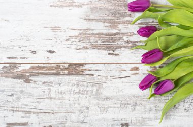 Bu güzel bahar çiçekleri - mor laleler hafif bir rustik ahşap arka plan üzerinde. Çerçeve çiçek çiçekler çarpıcı. Uzay kopyalayın. Düğün, hediye kartı, Sevgililer günü ya da annenin gün geçmişi