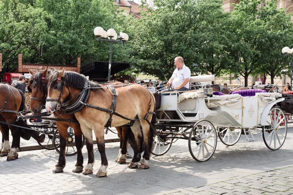 Praga Repubblica Ceca Maggio 2018 Buggy Turisti Nella Piazza Della — Foto Stock