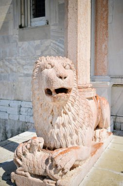 Ancona Duomo protiro mermer aslanı