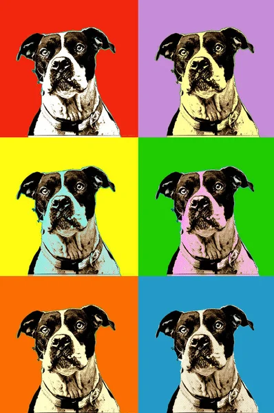 Colorful portrait of dog in pop art style