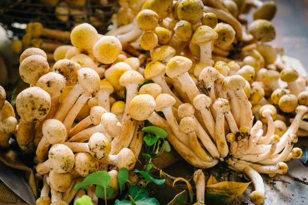 Setas Armillaria Mellea Frescas Sobre Tabla Cortar Madera Primer Plano —  Fotos de Stock