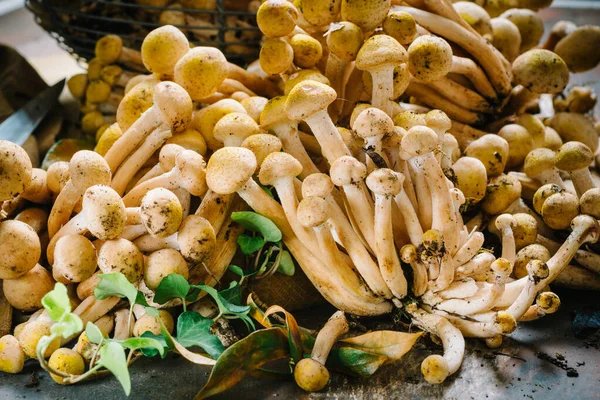 Fresh Armillaria Mellea Mushrooms Wooden Cutting Board Close — ストック写真
