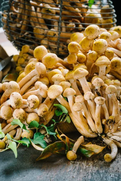 Metal Basket Dirty Armillaria Mellea Mushrooms Knife Table Autumn Concept — ストック写真