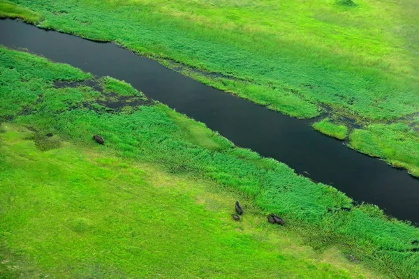 Luftlandschaft Okavango Delta Botswana Seen Und Flüsse Blick Aus Dem — Stockfoto