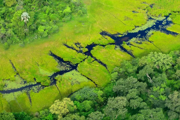 Aerial Landscape Okavango Delta Botswana Lakes Rivers View Airplane Green — Stock Photo, Image