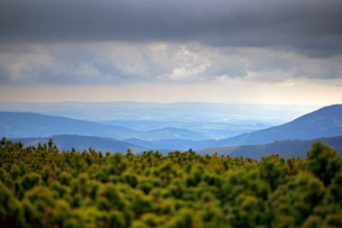 Krkonose dağın, çam ormanı ile bulutlar. Manzara orman, fırtına, Çek Cumhuriyeti, Orta Avrupa yaz.
