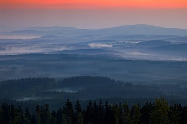 Krkonose dağın, Rüzgar, sis ve bulutlar, dağ çam ağaçları, Çek Cumhuriyeti, Orta Avrupa, puslu yatay ormanda.