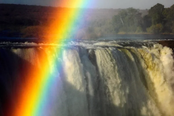 Rainbow above Victoria Falls, waterfall in southern Africa on the Zambezi River at the border between Zambia and Zimbabwe. Landscape in Africa. A lot of water durring summer season.