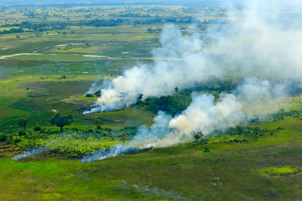 サバンナの山火事 ボツワナのオカバンゴ デルタ航空風景 湖や川 飛行機からの眺め 南アフリカ共和国の緑の植物 火災煙の木 — ストック写真