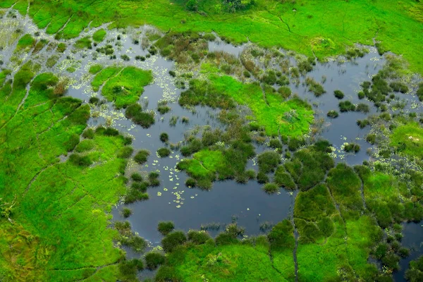 Antennimaisema Okavangon Suistossa Botswanassa Järvet Joet Näkymä Lentokoneesta Vihreä Kasvillisuus — kuvapankkivalokuva