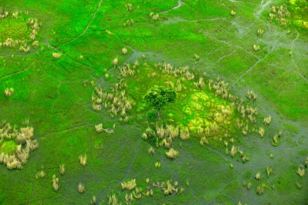 Luchtfoto Landschap Okavangodelta Botswana Meren Rivieren Uitzicht Vanaf Vliegtuig Groene — Stockfoto