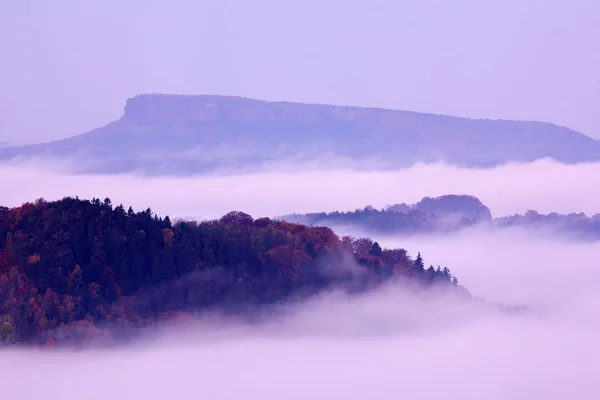 Cold misty foggy morning with twilight sunrise in a fall valley of Bohemian Switzerland park. National park Ceske Svycarsko, beautiful foggy landscape.