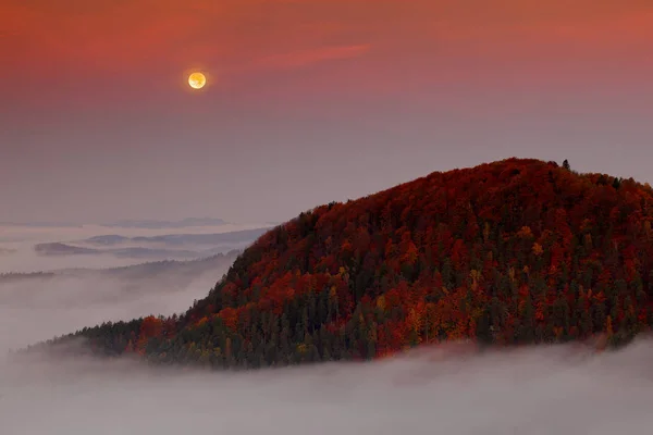 Colline Con Alberi Autunnali Tra Nuvole Nebbiose Mattinata Nebbiosa Una — Foto Stock