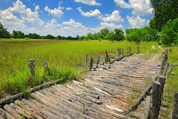 Trzeci Most Rezerwat Moremi Gra Botswanie Delta Okawango Pory Deszczowej — Zdjęcie stockowe