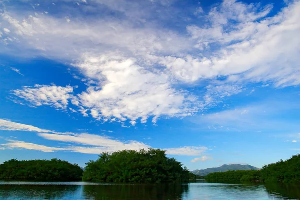 Palude Caroni Isola Verde Con Cielo Blu Nuvole Bianche Trinidad — Foto Stock