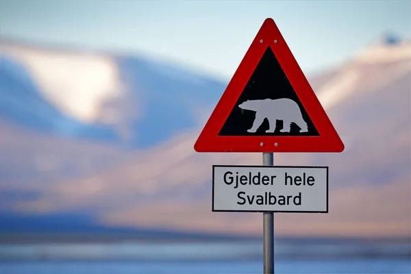 Red road traffic sign with polar bear on snowy mountain background