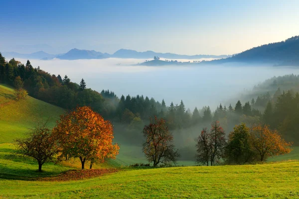 Herbst Slowenien Mit Nebel Die Kirche Des Heiligen Thomas Sveti — Stockfoto