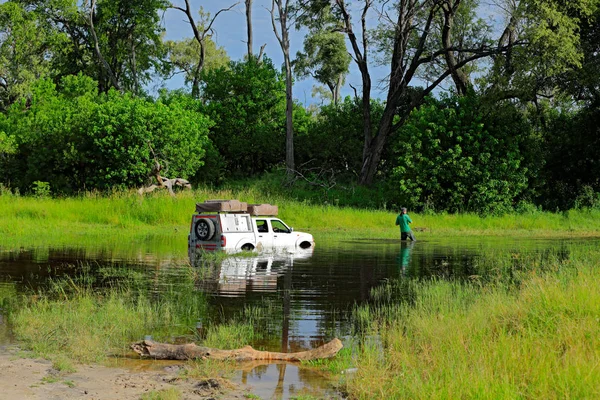 Поганий День Африці Safari Автомобіля Потонув Річці Khwai Moremi Окаванго — стокове фото
