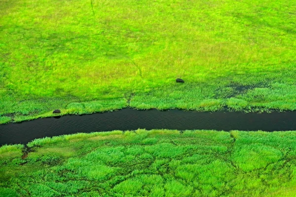 Hippo Tersembunyi Vegetasi Hijau Pemandangan Udara Delta Okavango Botswana Danau — Stok Foto
