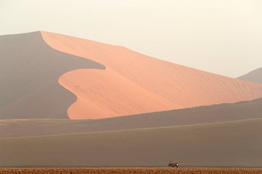 Gemsbok, Oryx gazella, mavi gökyüzü ve bulutlar, Sossusvlei, Namib Çölü, Namibya, Güney Afrika ile büyük portakal dune ile. Kırmızı kum, en büyük dun dünya. Namibya'da seyahat. Vahşi hayvan kum