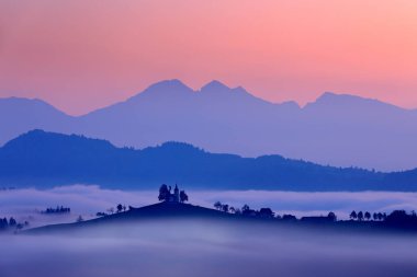 Manzara Slovenya, Avrupa'nın doğa. Sisli Triglav Alpler ile orman, Slovenya'da seyahat. Mavi gökyüzü, yeşil doğa ile güzel gündoğumu.