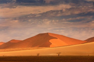 Mavi gökyüzü ve bulutlar, Sossusvlei, Namib Çölü, Namibya, Güney Afrika ile büyük portakal dune. Kırmızı kum, en büyük dun dünya. Namibya'da seyahat.