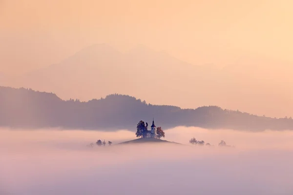 Краєвид Словенії Природи Європі Церкви Острова Ранковий Туман Подорож Словенії — стокове фото