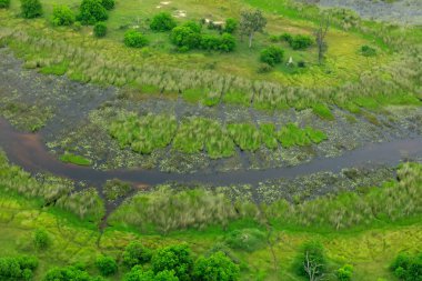 Okavango Deltası, Botswana hava manzara. Göller ve nehirler, uçaktan görüntüleyin. Güney Afrika'da yeşil bitki örtüsü. Yağmur mevsimi suda ağaçlarıyla. 