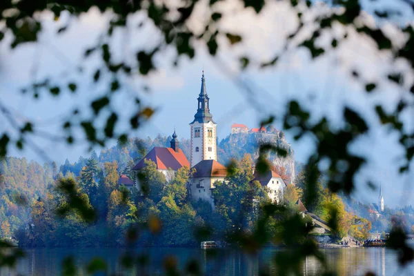 Paesaggio Slovenia Natura Europa Foggy Alpi Del Triglav Con Foresta — Foto Stock