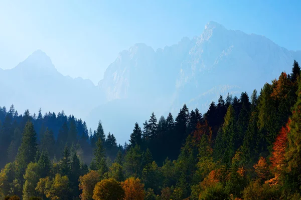 Krajobraz Słowenii Przyroda Europie Foggy Triglav Alpy Lasem Podróże Słowenii — Zdjęcie stockowe