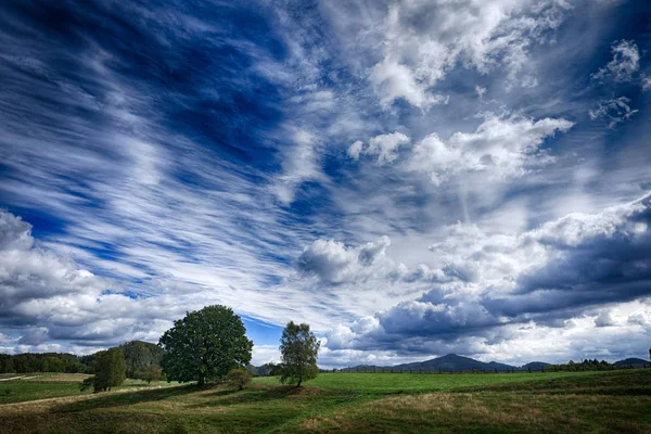 Paisaje Verano Checo Hermosas Nubes Blancas Cielo Azul Sobre Prado — Foto de Stock