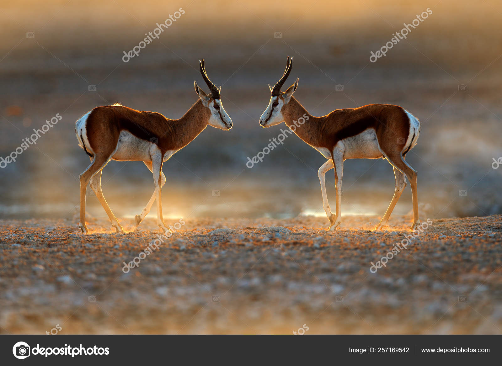 케냐 올로세이키 아이들을 위한 식사 지원 후기 : 사랑의전화복지재단(Loveaid Foundation), image size:1600x1167