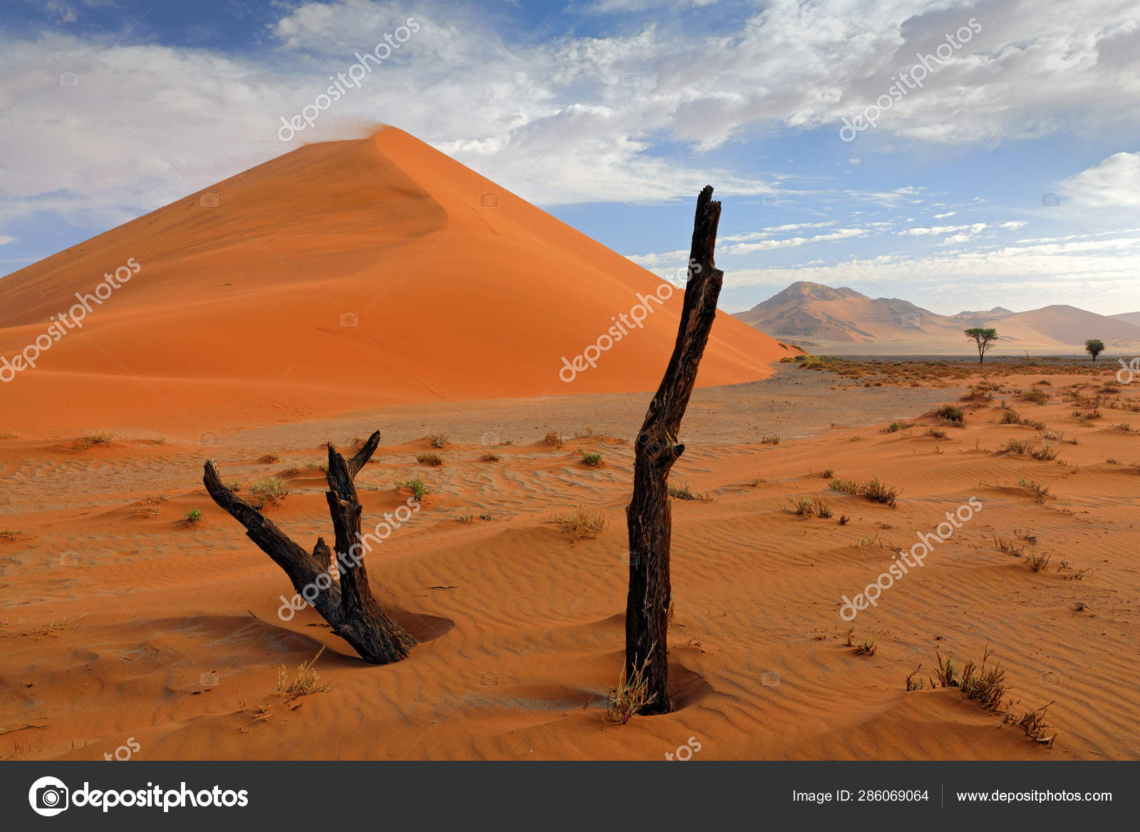 ナミビアの風景 大きなオレンジ色の砂丘 ソッサスブレイ ナミブ砂漠 ナミビア 南アフリカ 赤い砂だ 世界最大の砂丘アフリカ旅行 — ストック写真 ©  OndrejProsicky #286069064