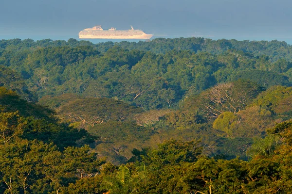 Selva Tropical Verde Con Gran Chip Crucero Mar Paisaje Exótico — Foto de Stock