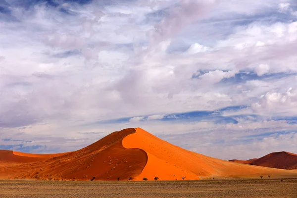 Namibië Landschap Grote Oranje Duin Sossusvlei Namib Woestijn Namibië Zuidelijk — Stockfoto