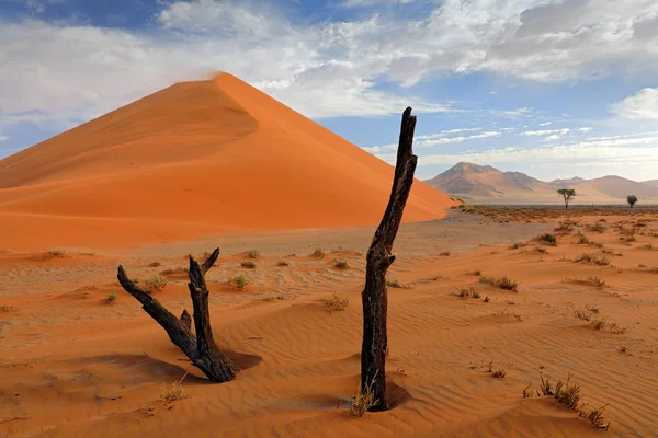 Namibië Landschap Grote Oranje Duin Sossusvlei Namib Woestijn Namibië Zuidelijk — Stockfoto