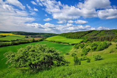 Czech spring landscape, green vegetation with blue sky and clouds. Travelling in Europe. Trees and meadows during sunny day. Fields near the Brno town, Czech Republic. clipart