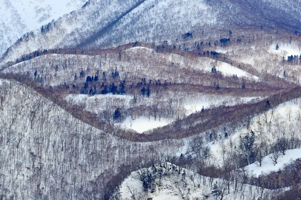 Japonya Kış Manzarası Ağaçlı Karlı Bir Tepe Rausu Nemuro Ilinin — Stok fotoğraf