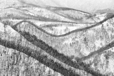 Japonya kış manzarası, ağaçlı ve karlı bir tepe. Rausu, Nemuro ilinin Menashi ilçesine bağlı bir dağdır. Japonya 'dan güzel bir kış manzarası. Mistik soğuk doğa..