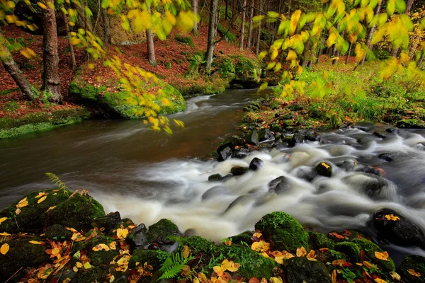 Paesaggio Autunnale Con Foglie Arancioni Gialle Acqua Grande Roccia Sullo — Foto Stock